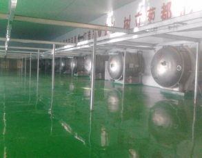 江阴食品冷冻干燥机 销售一站式服务